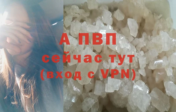 прущий лед Вязьма