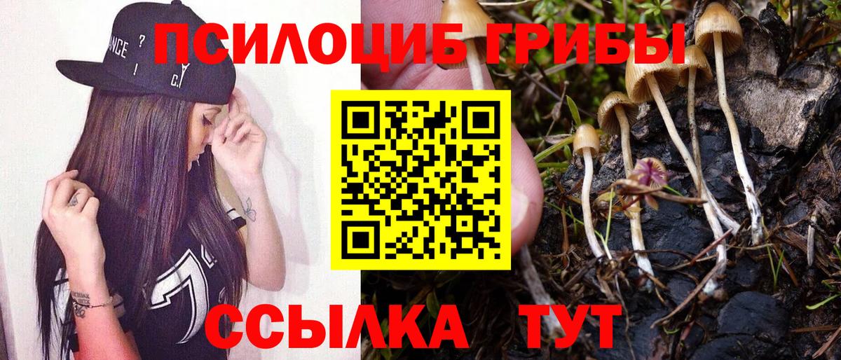 ГАШ Мценск